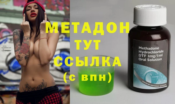 амф Ельня
