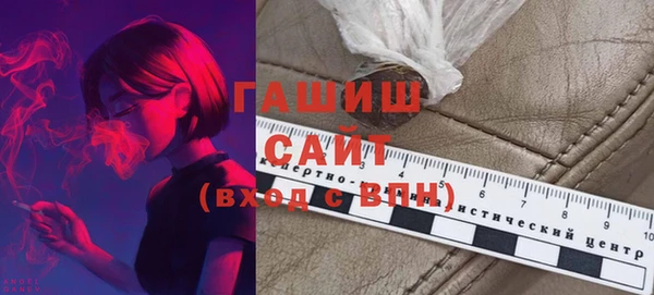 амф Ельня