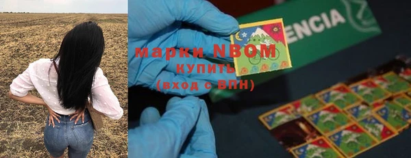 мдпв Заводоуковск